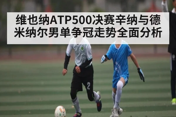 维也纳ATP500决赛辛纳与德米纳尔男单争冠走势全面分析